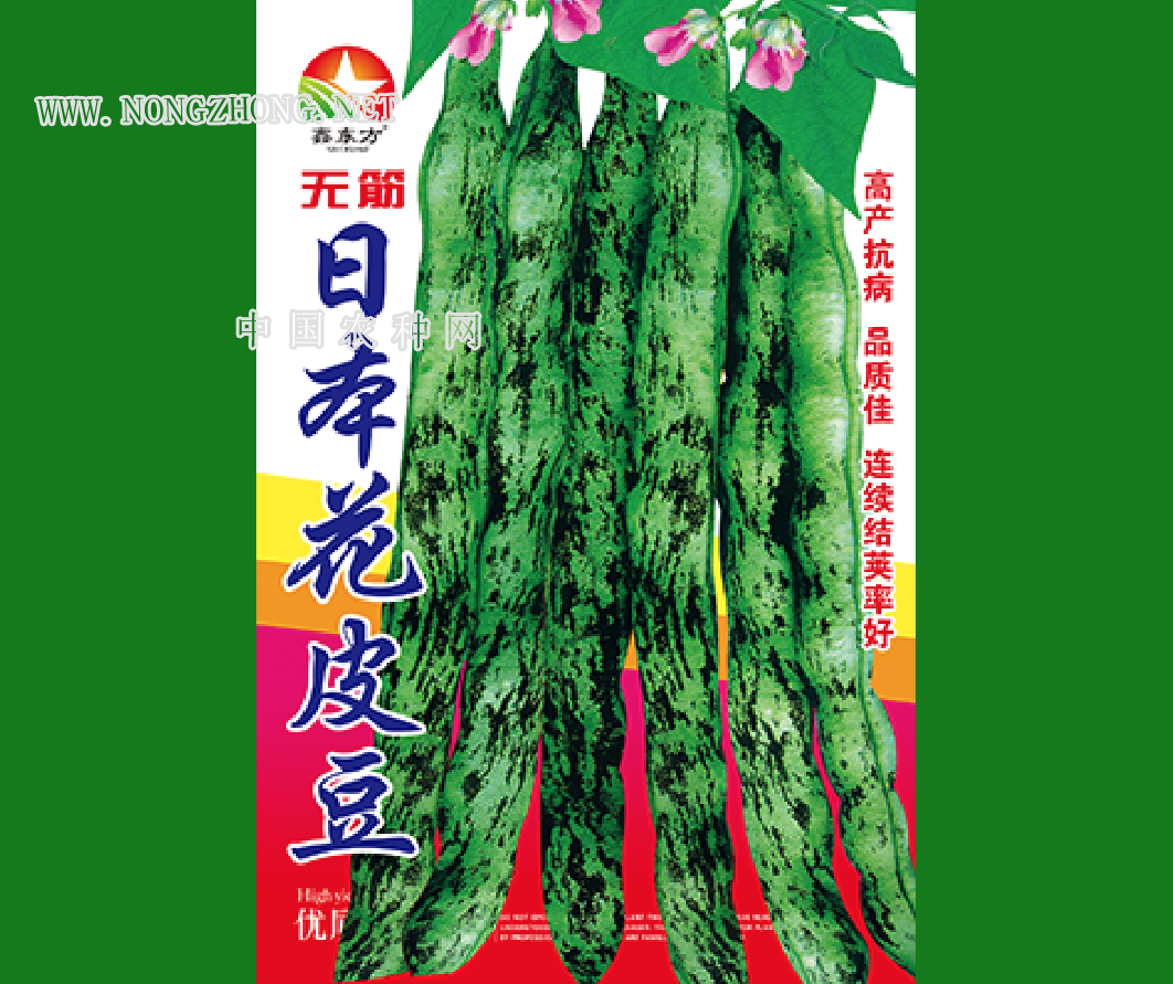 无筋日本花皮豆